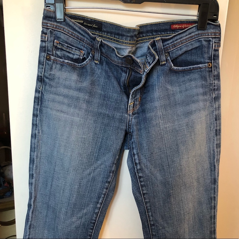 Citizens of Humanity Ingrid Flare jeans 29